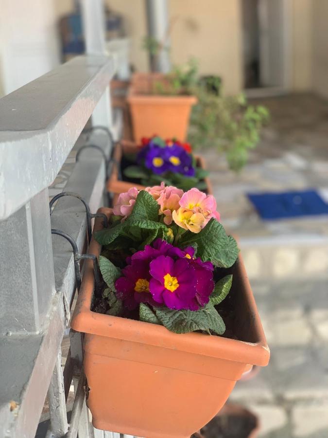 Guest House Loza Sighnaghi Exterior foto